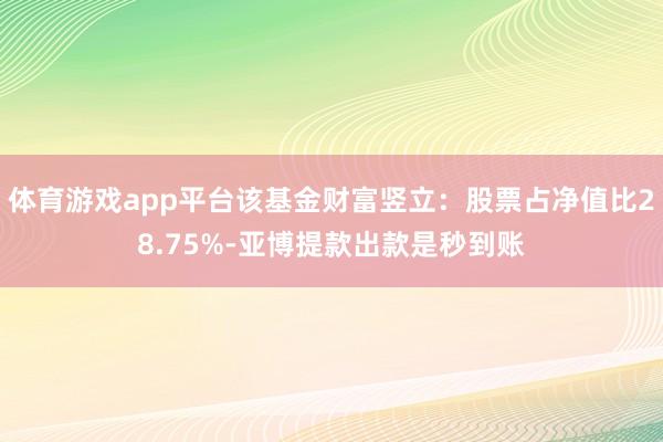 体育游戏app平台该基金财富竖立：股票占净值比28.75%-亚博提款出款是秒到账
