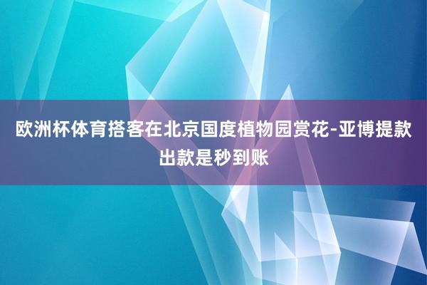 欧洲杯体育搭客在北京国度植物园赏花-亚博提款出款是秒到账