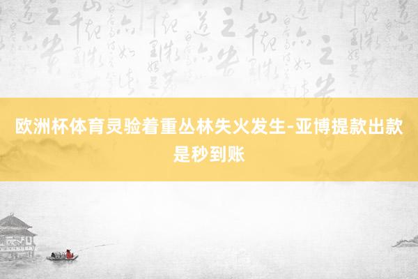 欧洲杯体育灵验着重丛林失火发生-亚博提款出款是秒到账