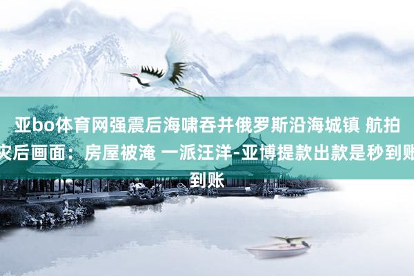 亚bo体育网强震后海啸吞并俄罗斯沿海城镇 航拍灾后画面：房屋被淹 一派汪洋-亚博提款出款是秒到账