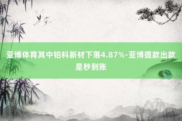 亚博体育其中铂科新材下落4.87%-亚博提款出款是秒到账